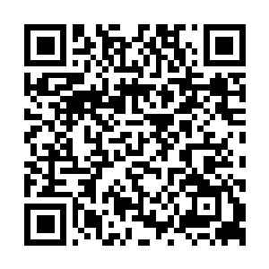 Lien vers votre campagne QRCode - Collecte de fonds