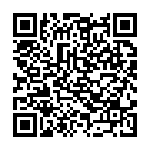 Lien vers votre campagne QRCode - Collecte de fonds
