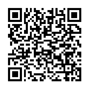 Lien vers votre campagne QRCode - Collecte de fonds