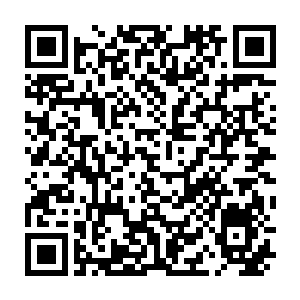 Lien vers votre campagne QRCode - Collecte de fonds