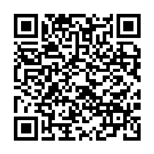 Lien vers votre campagne QRCode - Collecte de fonds