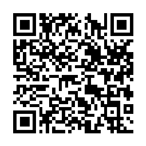 Lien vers votre campagne QRCode - Collecte de fonds