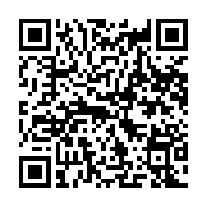 Lien vers votre campagne QRCode - Collecte de fonds