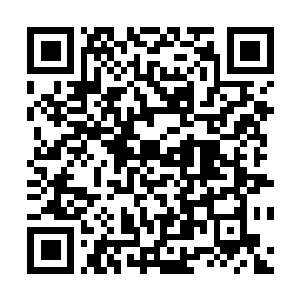 Lien vers votre campagne QRCode - Collecte de fonds