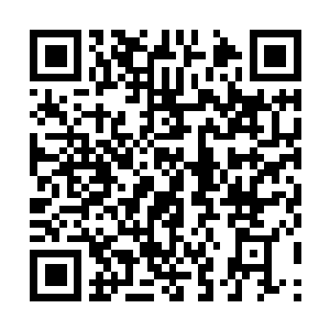 Lien vers votre campagne QRCode - Collecte de fonds