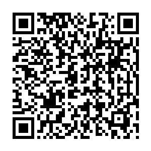 Lien vers votre campagne QRCode - Collecte de fonds
