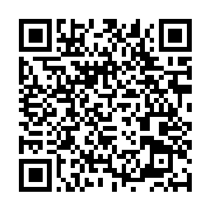 Lien vers votre campagne QRCode - Collecte de fonds