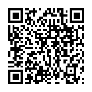 Lien vers votre campagne QRCode - Collecte de fonds