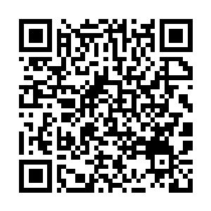 Lien vers votre campagne QRCode - Collecte de fonds