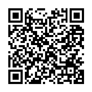 Lien vers votre campagne QRCode - Collecte de fonds