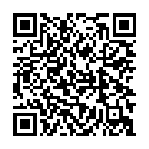 Lien vers votre campagne QRCode - Collecte de fonds