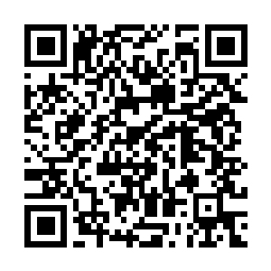 Lien vers votre campagne QRCode - Collecte de fonds