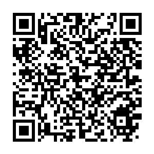 Lien vers votre campagne QRCode - Collecte de fonds