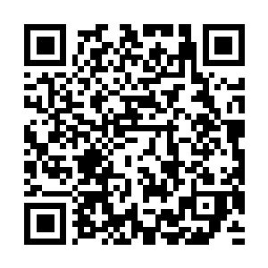 Lien vers votre campagne QRCode - Collecte de fonds