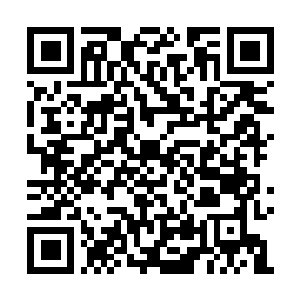 Lien vers votre campagne QRCode - Collecte de fonds