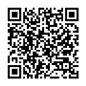 Lien vers votre campagne QRCode - Collecte de fonds