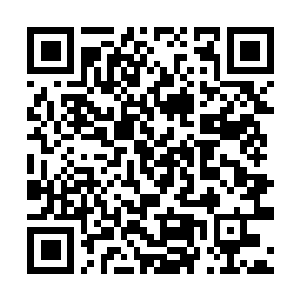 Lien vers votre campagne QRCode - Collecte de fonds