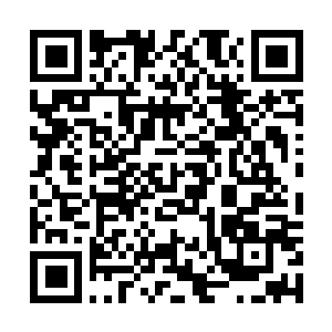 Lien vers votre campagne QRCode - Collecte de fonds