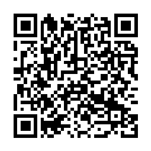 Lien vers votre campagne QRCode - Collecte de fonds