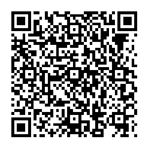 Lien vers votre campagne QRCode - Collecte de fonds