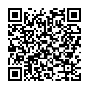 Lien vers votre campagne QRCode - Collecte de fonds