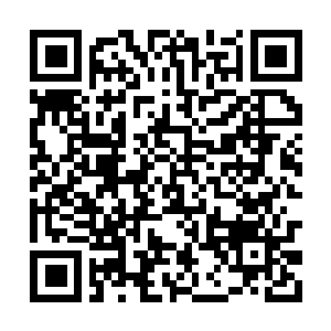 Lien vers votre campagne QRCode - Collecte de fonds