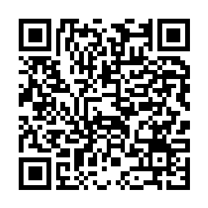 Lien vers votre campagne QRCode - Collecte de fonds