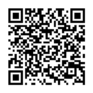 Lien vers votre campagne QRCode - Collecte de fonds