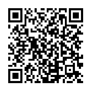 Lien vers votre campagne QRCode - Collecte de fonds
