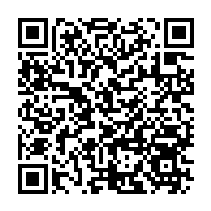 Lien vers votre campagne QRCode - Collecte de fonds