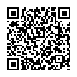 Lien vers votre campagne QRCode - Collecte de fonds