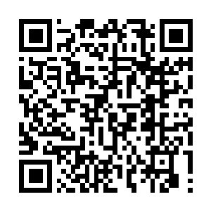 Lien vers votre campagne QRCode - Collecte de fonds