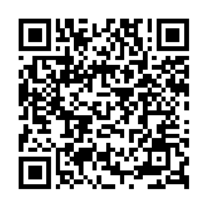 Lien vers votre campagne QRCode - Collecte de fonds