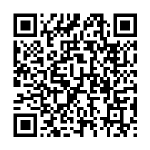 Lien vers votre campagne QRCode - Collecte de fonds