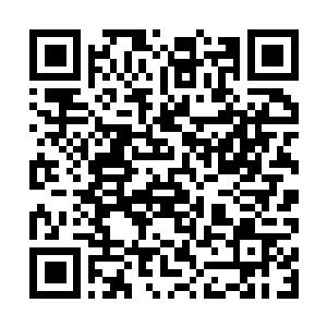 Lien vers votre campagne QRCode - Collecte de fonds