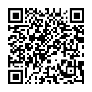 Lien vers votre campagne QRCode - Collecte de fonds
