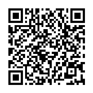Lien vers votre campagne QRCode - Collecte de fonds