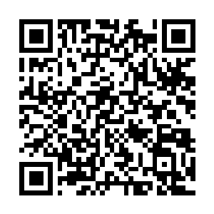 Lien vers votre campagne QRCode - Collecte de fonds