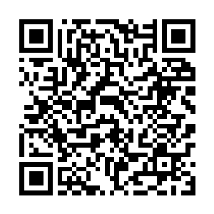 Lien vers votre campagne QRCode - Collecte de fonds
