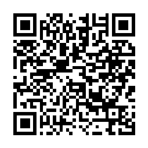 Lien vers votre campagne QRCode - Collecte de fonds