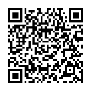 Lien vers votre campagne QRCode - Collecte de fonds