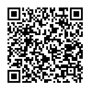 Lien vers votre campagne QRCode - Collecte de fonds