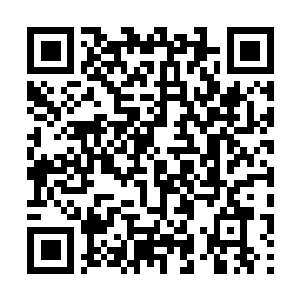 Lien vers votre campagne QRCode - Collecte de fonds