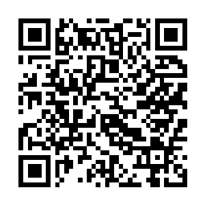 Lien vers votre campagne QRCode - Collecte de fonds