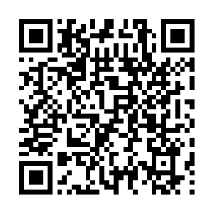 Lien vers votre campagne QRCode - Collecte de fonds