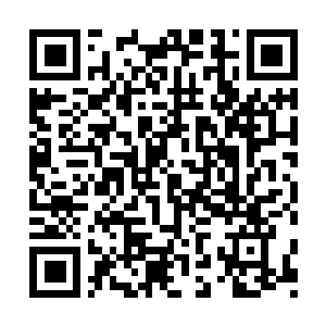 Lien vers votre campagne QRCode - Collecte de fonds