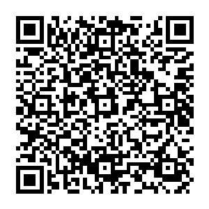 Lien vers votre campagne QRCode - Collecte de fonds