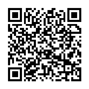 Lien vers votre campagne QRCode - Collecte de fonds