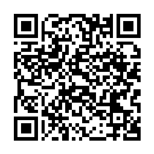 Lien vers votre campagne QRCode - Collecte de fonds