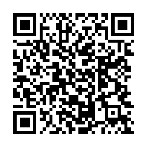 Lien vers votre campagne QRCode - Collecte de fonds
